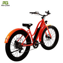 2020 Hot Sale Mountain Fat Tire 26inch E Cycle Electric Bike